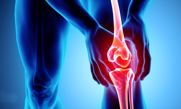 Joints Pain Rewa